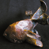 Fisch